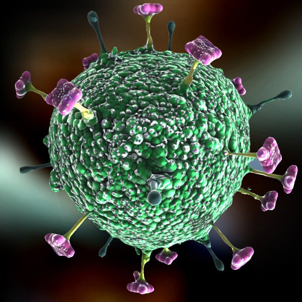 Rare Virus Could Become Global Epidemic Officials Warn